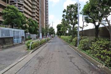 敷地北東側の前面道路（南東側から）