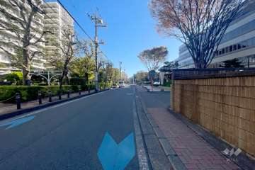 敷地北側の前面道路