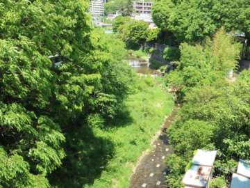 マンション北西側には箕面川が流れております。