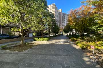 敷地北側の前面道路（東側から）