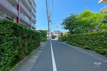 敷地東側の前面道路（南側から）