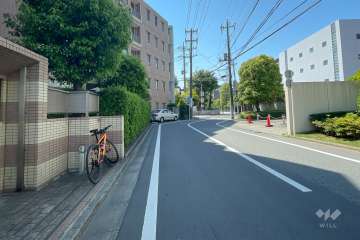 敷地西側の前面道路（北側から）