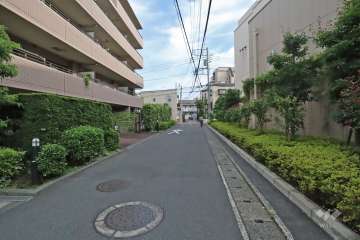 敷地西側の前面道路(北側から)