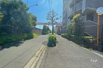 敷地北東側の前面道路は多摩川河川敷に面しています（北西側から）。