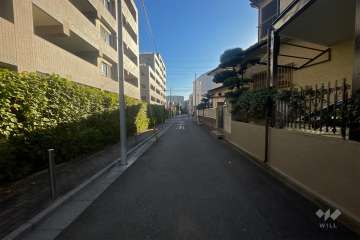 敷地南側の前面道路（西側から）