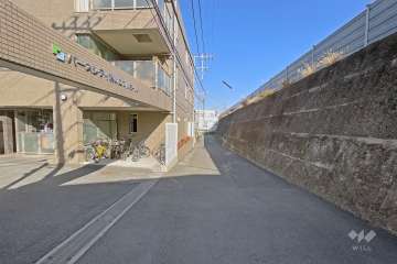 敷地の南側前面道路（西側から）