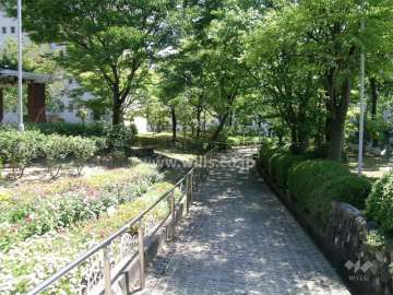 緑豊かな敷地内の通路