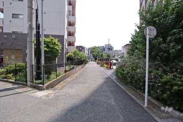 敷地南東側の前面道路(北東側から)