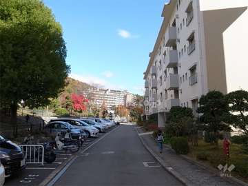 平面の敷地内駐車場