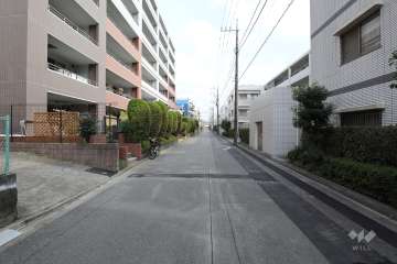 敷地北側の前面道路（西側から）