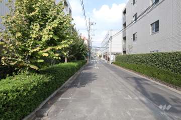 敷地東側の前面道路（南側から）