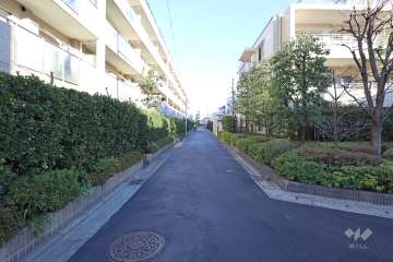 敷地南側の前面道路（西側から）