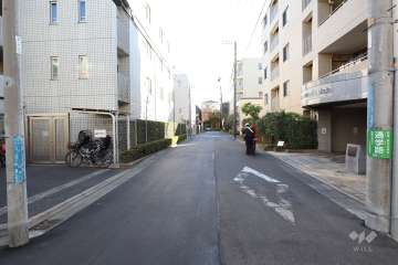 敷地東側の前面道路（北側から）