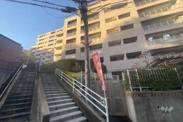 敷地東側の前面道路（東側から）