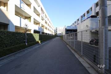 敷地の北側前面道路（西側から）