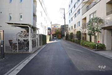 敷地の西側前面道路（北側から）