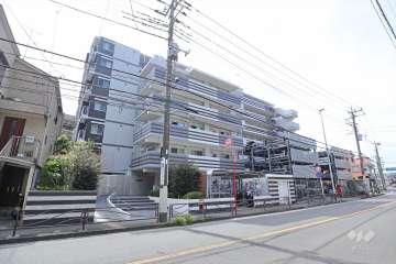 ベルドゥムール溝の口森林公園