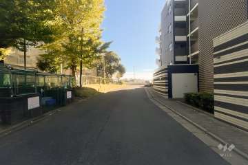 敷地東側の前面道路（北側から）