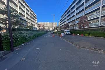 敷地東側の前面道路（南側から）