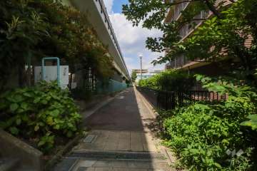 敷地西側の前面道路　