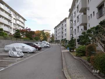 敷地内駐車場（平面）