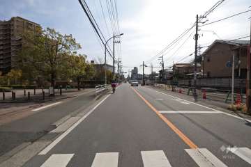 敷地西側の前面道路（北側から）