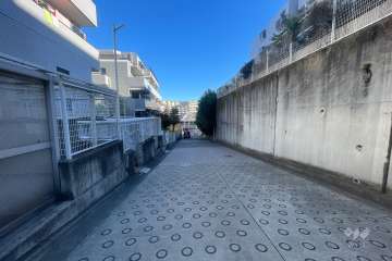 敷地南側の前面道路（西側から）