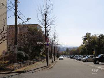 敷地西側の前面道路。高台にあり、大阪市内のビル街が望めます。