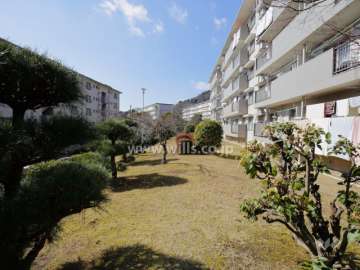 敷地南部分は庭になっています。