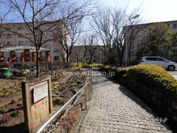 敷地東側の通路