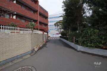 敷地北側の前面道路(西側から)