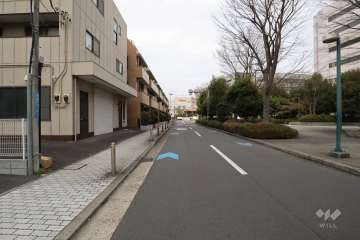 敷地東側の前面道路(南側から)