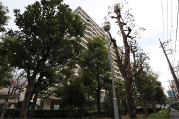 パークシティ溝の口A棟の外観(北西側から)