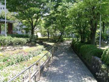 敷地東側の小道