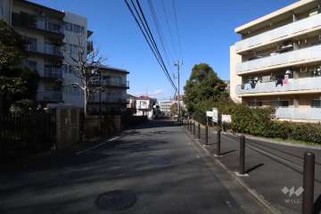 敷地東側の前面道路(北側から)