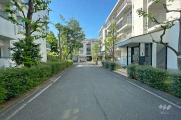 敷地南側の前面道路（東側から）