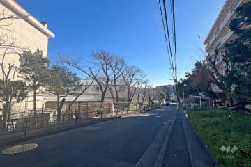 敷地東側の前面道路（北側から）