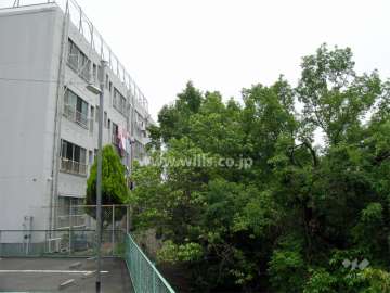 敷地の西側には池に面しています。