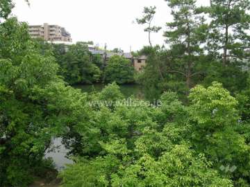 西側の池の周囲は緑豊かです。