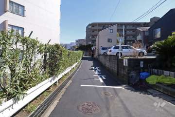 敷地南側の前面道路（西側から）