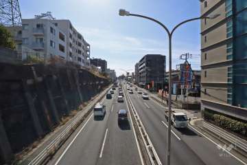 敷地西側の前面道路（国道246号線）