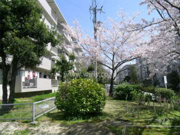 箕面粟生第２住宅11棟の敷地南側