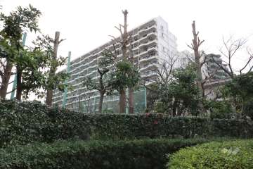 パークシティ溝の口D棟の外観(北東側から）