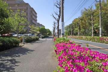 敷地北側の前面道路(東側から)