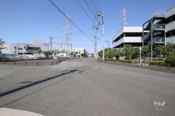 敷地西側の前面道路(南側から)