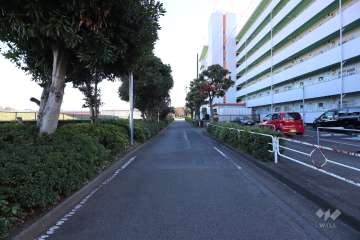 敷地北東側の前面道路　