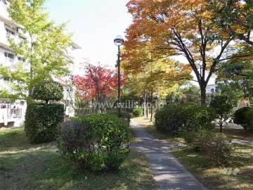 17棟の南側には公園があります。