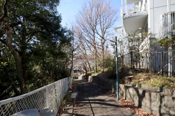 敷地西側の前面道路