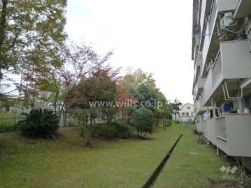 マンションの南側の敷地