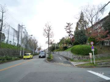 南側を通っている道路